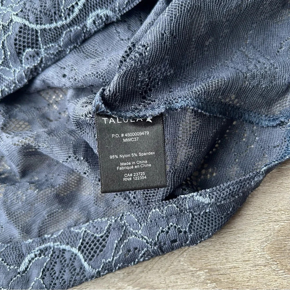 Aritzia Talula Navy Lace Semi Sheer Mini Dress - Picture 10 of 14